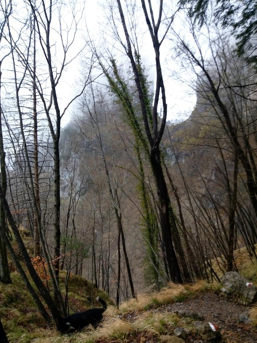 Rifugio Alto Matanna - Procinto - foto 4