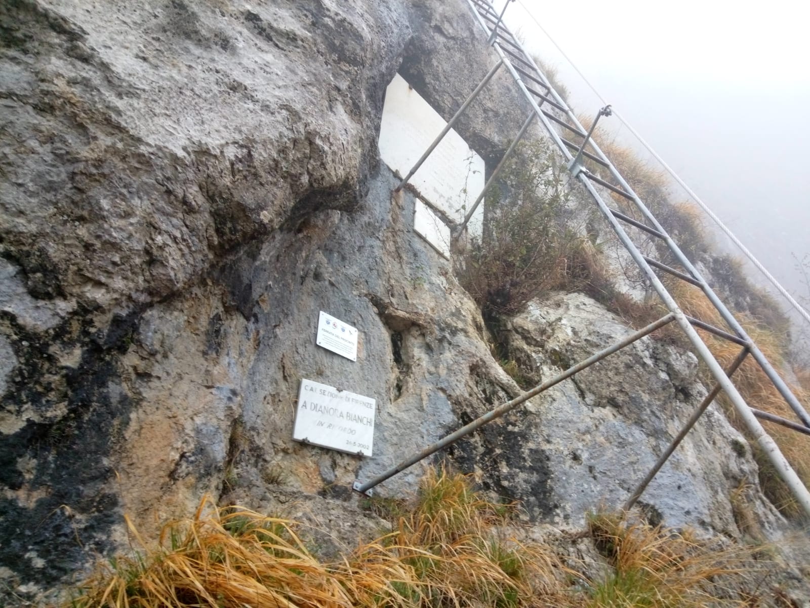 Rifugio Alto Matanna - Procinto - foto 5