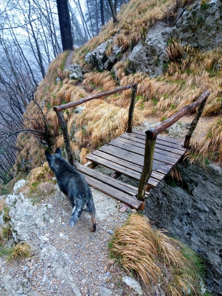 Rifugio Alto Matanna - Procinto - foto 8