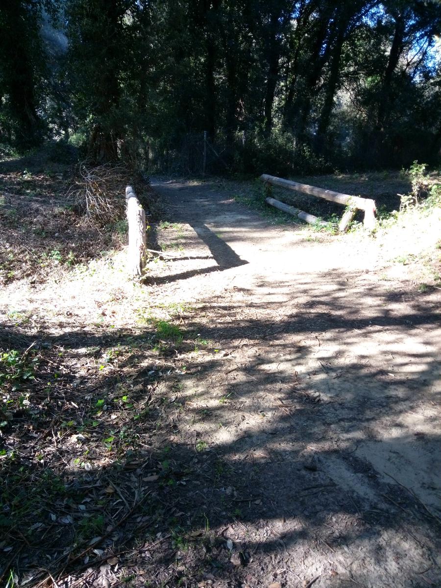 Calambrone - Passeggiata nel verde - Picnic - foto 3