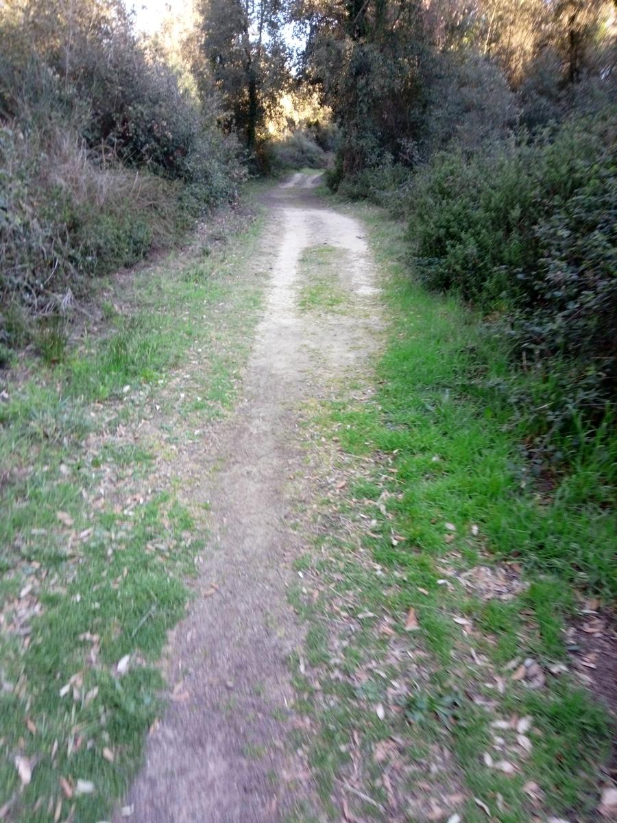 Calambrone - Passeggiata nel verde - Picnic - foto 5