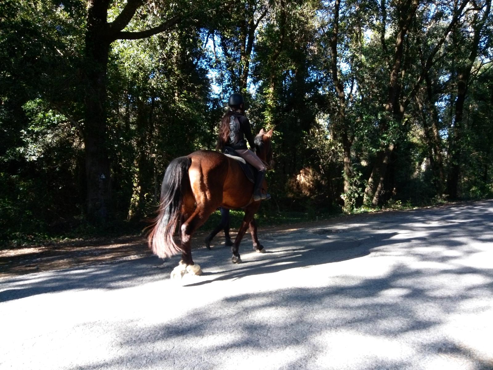 Calambrone - Passeggiata nel verde - Picnic - foto 6
