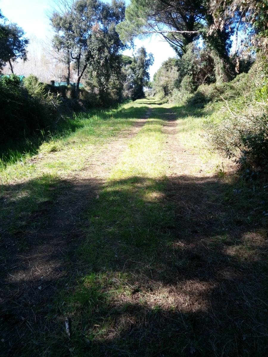 Calambrone - Passeggiata nel verde - Picnic - foto 7